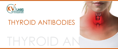 Thyroid Antibodies